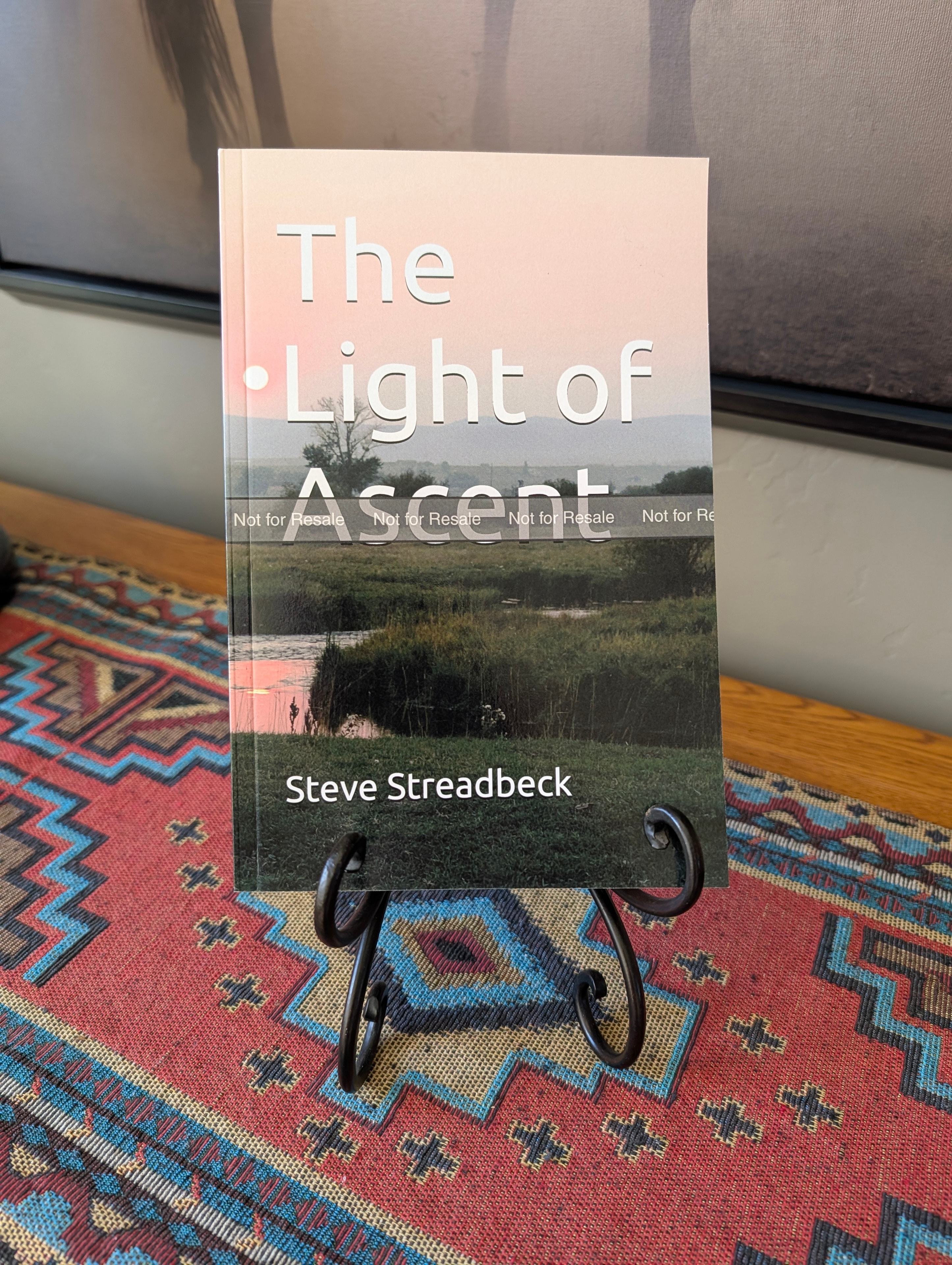 The Light of Ascent book cover